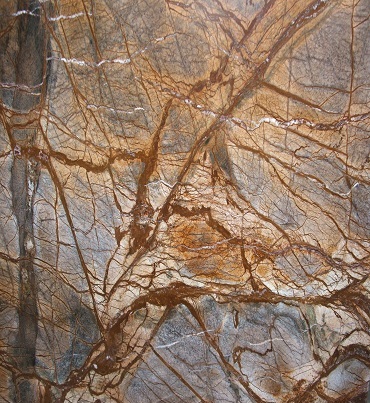 FOREST BROWN.jpg